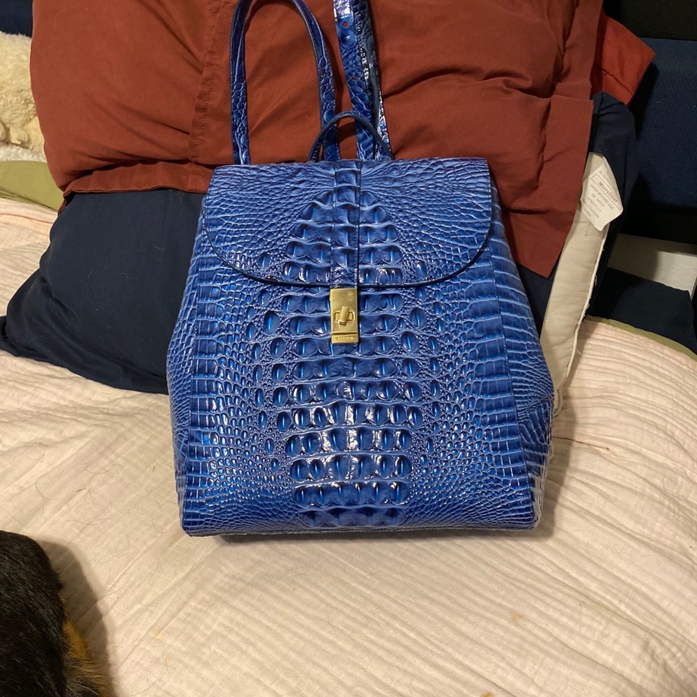 Back pack